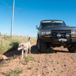 Classic Toyota Land Cruiser on a gravel road in Texas