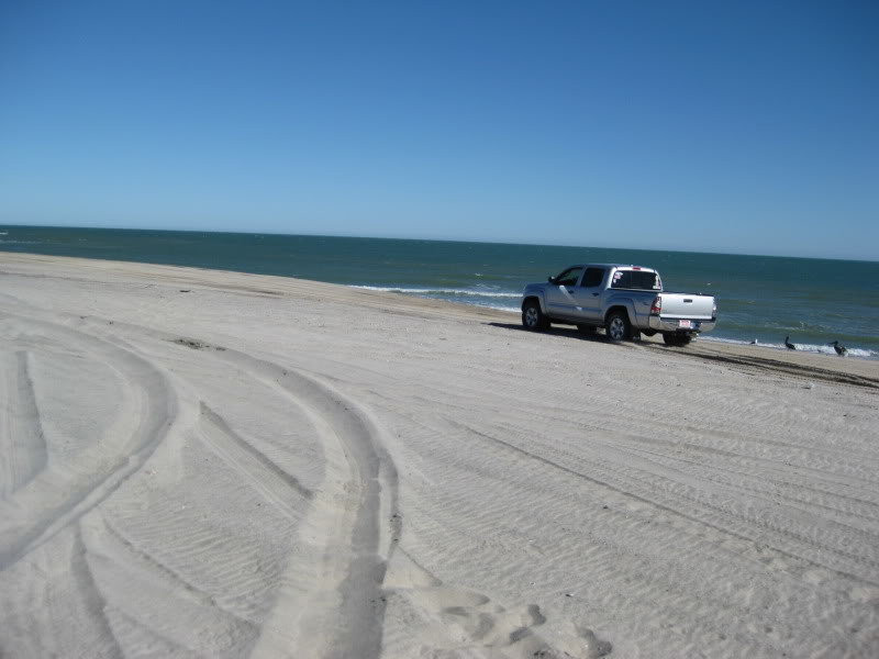 Toyota Tacoma Off-Roading in Sand