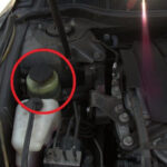 Power Steering Fluid Reservoir in Toyota Camry