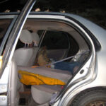 Toyota Corolla Back Seat