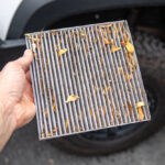 Dirty/Used Cabin Air Filter - 3rd Gen Toyota Tacoma