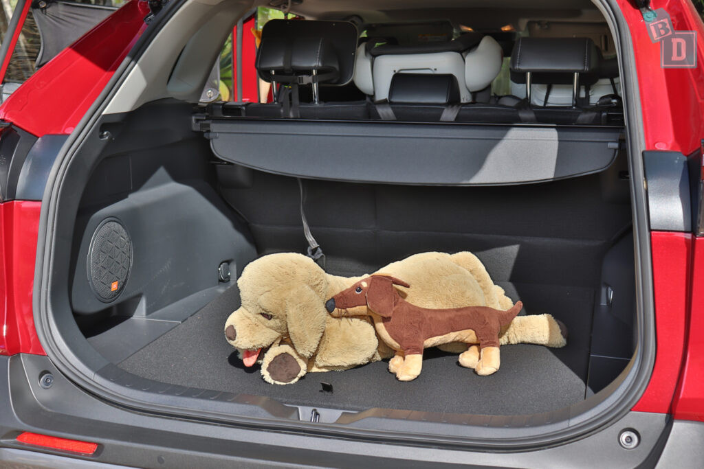 2021 Toyota RAV4 Hybrid Cruiser boot space with large dog and small dog